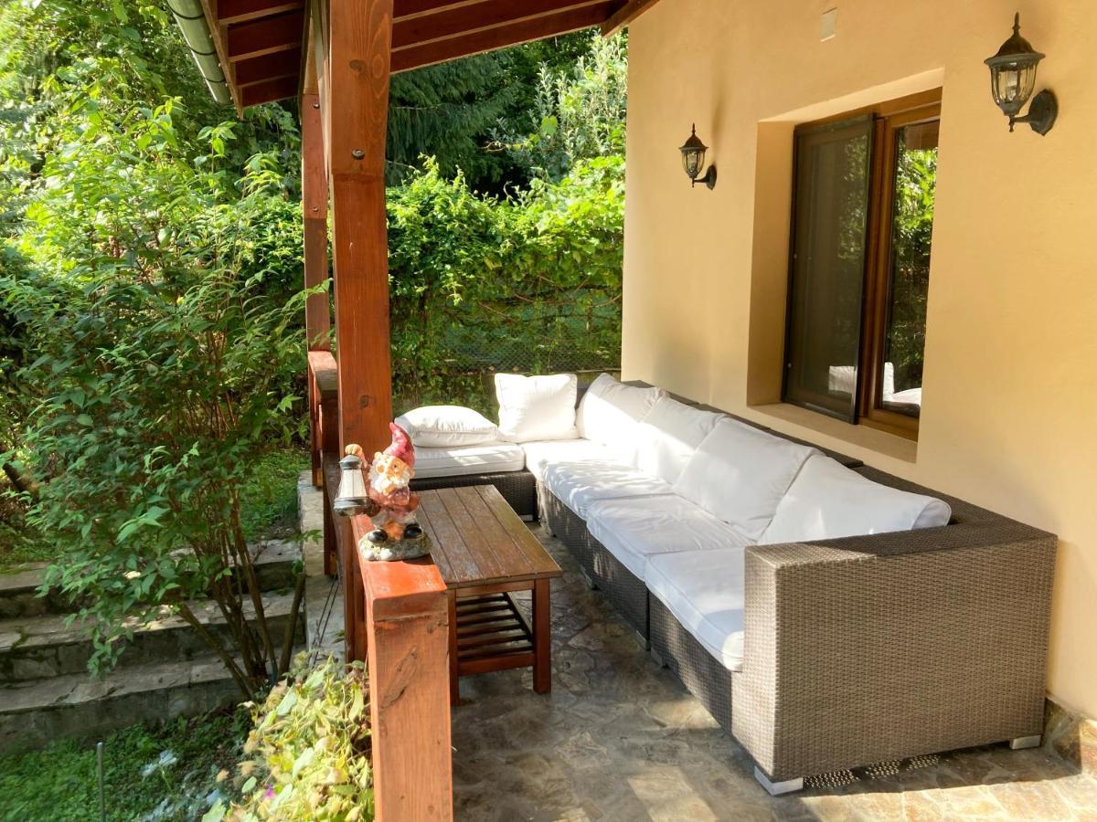 Treehouse Villa Padurea Neagra Ngoại thất bức ảnh